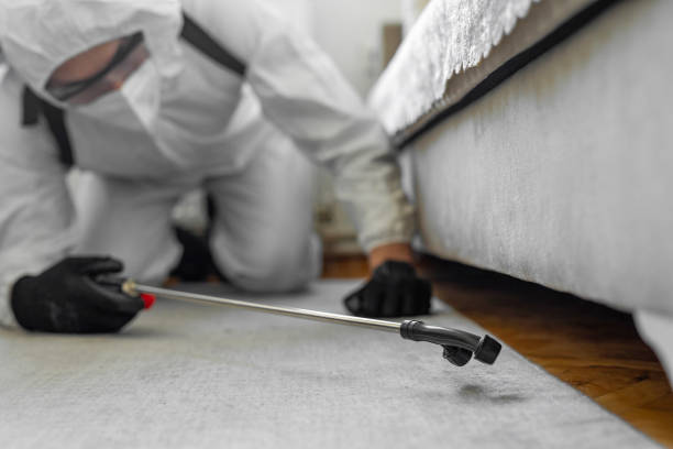 Professional Bed Bug Control technician working in Ludowici, GA