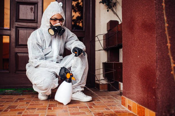 Reliable Bed Bug Control contractor in Ludowici, GA by Nex Pest Control