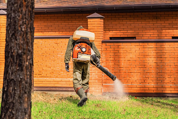 Trusted Bed Bug Control service in Ludowici, GA - Nex Pest Control